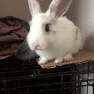 Meet your Posher, Ashlie